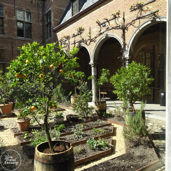 Museum Snijders & Rockoxhuis Antwerpen - binnentuin met appelsienenboompjes Museum Snijders & Rockoxhuis Antwerpen - binnentuin met appelsienenboompjes